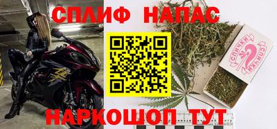 гашик Нарткала