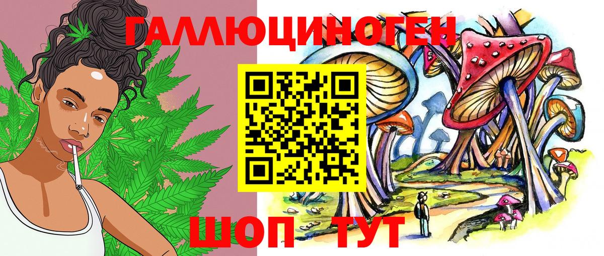 Псилоцибиновые грибы Cubensis  Вход с VPN  Псилоцибиновые грибы MAGIC MUSHROOMS  Борзя 